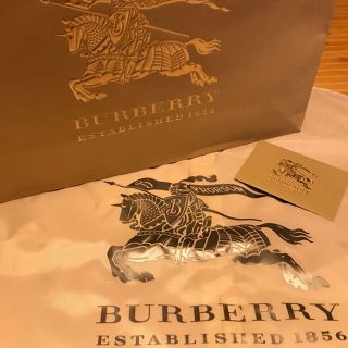 バーバリー(BURBERRY)のバーバリー 袋 衣装袋(ショップ袋)