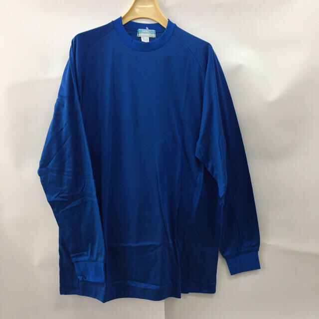 カラーTシャツ(長袖)4L  JP3000 5ブルー メンズのトップス(Tシャツ/カットソー(七分/長袖))の商品写真