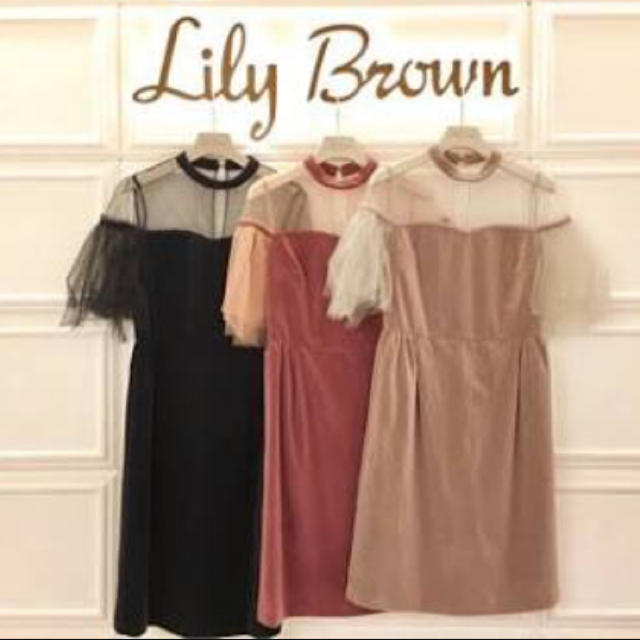 Lily Brown(リリーブラウン)のリリーブラウン  チュールベロアドレス レディースのワンピース(ひざ丈ワンピース)の商品写真