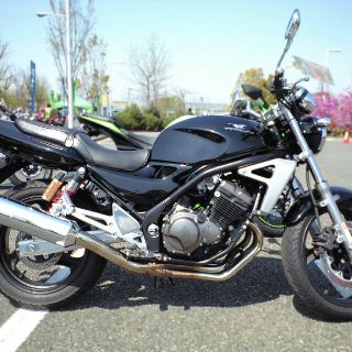 バリオス様専用(その他)