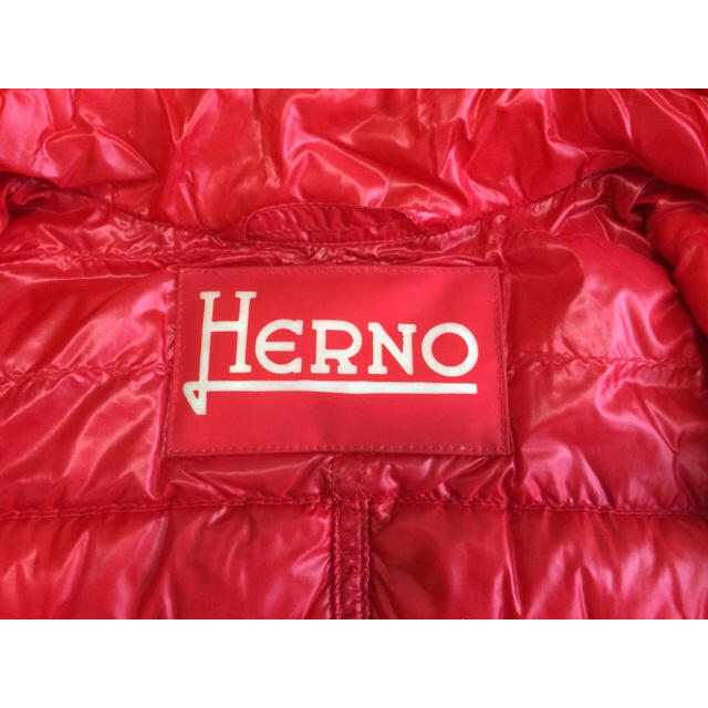 HERNO(ヘルノ)のHERNO メンズのジャケット/アウター(ダウンベスト)の商品写真