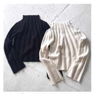 トゥデイフル(TODAYFUL)のtodayful  今季新作完売ニット Widerib Short Knit  (ニット/セーター)