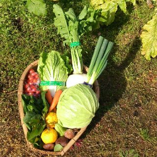 ☆わくわく80サイズ☆岡山産 新鮮野菜(野菜)