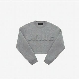 アレキサンダーワン(Alexander Wang)のAlexander Wang H&M コラボ　スウェット(トレーナー/スウェット)