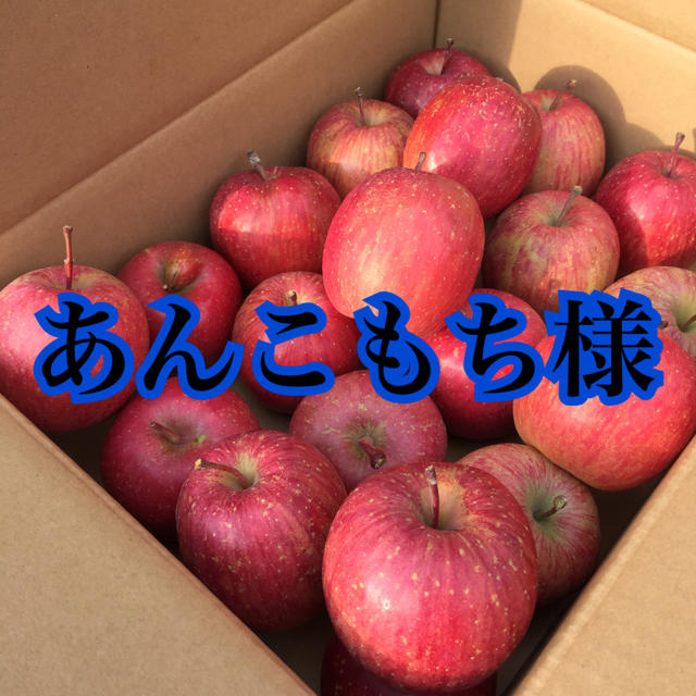 りんご サンふじ 専用 食品/飲料/酒の食品(フルーツ)の商品写真