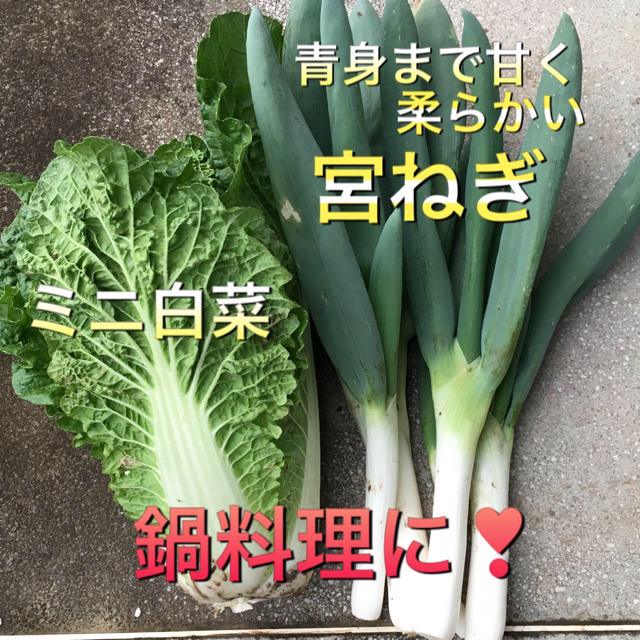 野菜セット  80  aya様専用 食品/飲料/酒の食品(野菜)の商品写真