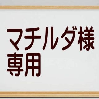 マチルダ様 専用◆ペッパーミル ステンレス製 調味料挽き //AO9(その他)