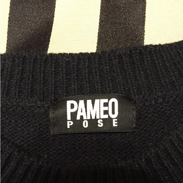 PAMEO POSE(パメオポーズ)のPAMEO POSE パメオポーズ ローズニット レディースのトップス(ニット/セーター)の商品写真