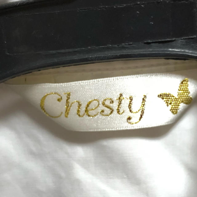 Chesty(チェスティ)のNew★★★★様専用  チェスティ つけ襟 レディースのアクセサリー(つけ襟)の商品写真