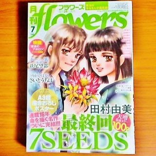 ショウガクカン(小学館)の7SEEDSポスター付き 美品 月刊flowers フラワーズ 2017年7月号(漫画雑誌)