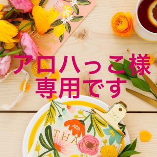 ワコール(Wacoal)の【アロハっこ様専用です】サルートの薔薇が素敵なブラジャーC70&ソングMセット♡(ブラ&ショーツセット)