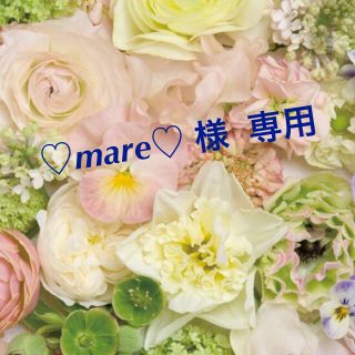 エリップス(ellips)の♡mare♡ 様  専用(ヘアケア)