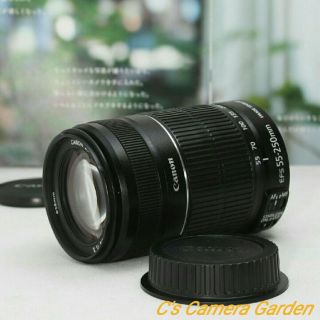 キヤノン(Canon)の☆美品☆キヤノン一眼レフ用超望遠レンズ☆EF-S 55-250mm IS II(その他)