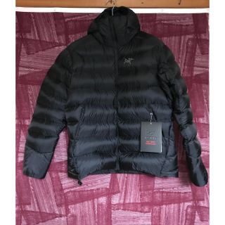 アークテリクス(ARC'TERYX)のアークテリクス セリウムsvフーディー Mサイズ(ダウンジャケット)