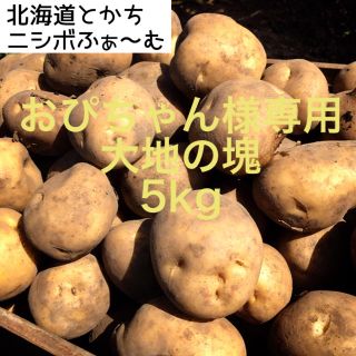 北海道とかちニシボふぁ〜む男爵いも『大地の塊』5kg(野菜)