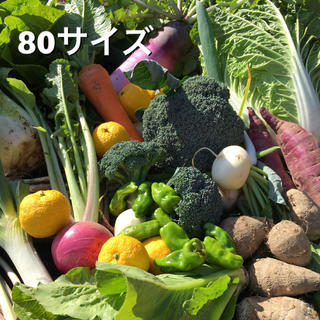 減農薬  新鮮  野菜セット  80(野菜)