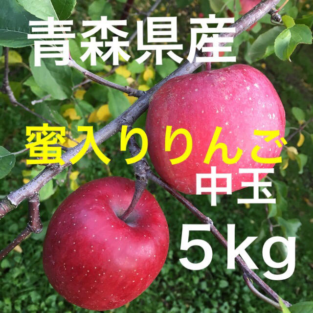 りんご サンふじ 青森県産 送料込み 食品/飲料/酒の食品(フルーツ)の商品写真