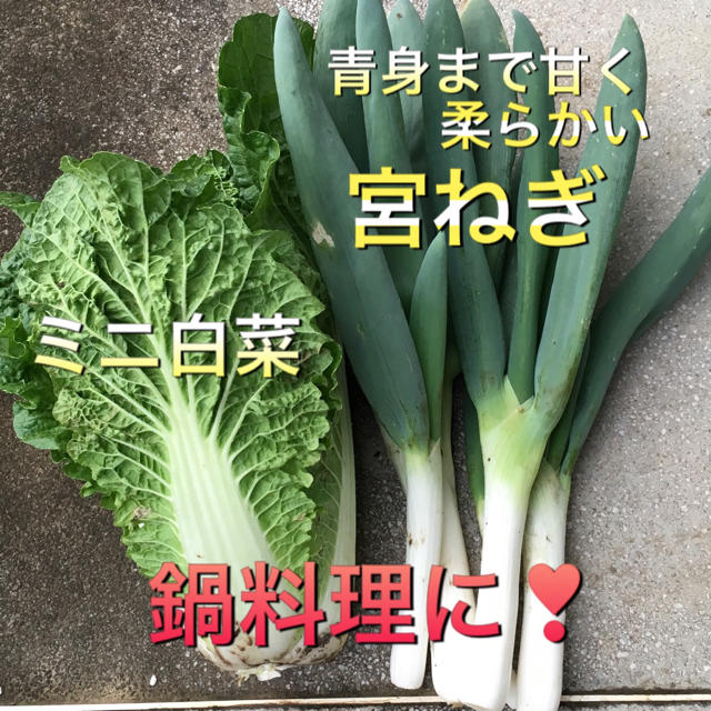 減農薬 新鮮 野菜セット  80 食品/飲料/酒の食品(野菜)の商品写真