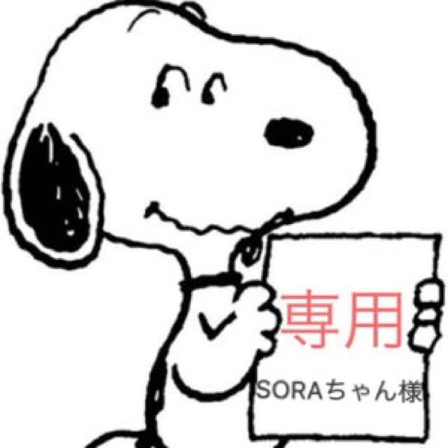 安い商品 SORAちゃん様 オーダー専用 | yigitaluminyumprofil.com