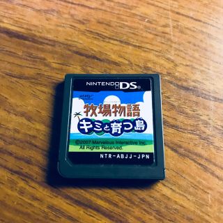 ニンテンドーDS(ニンテンドーDS)の牧場物語 君と育つ島(家庭用ゲームソフト)