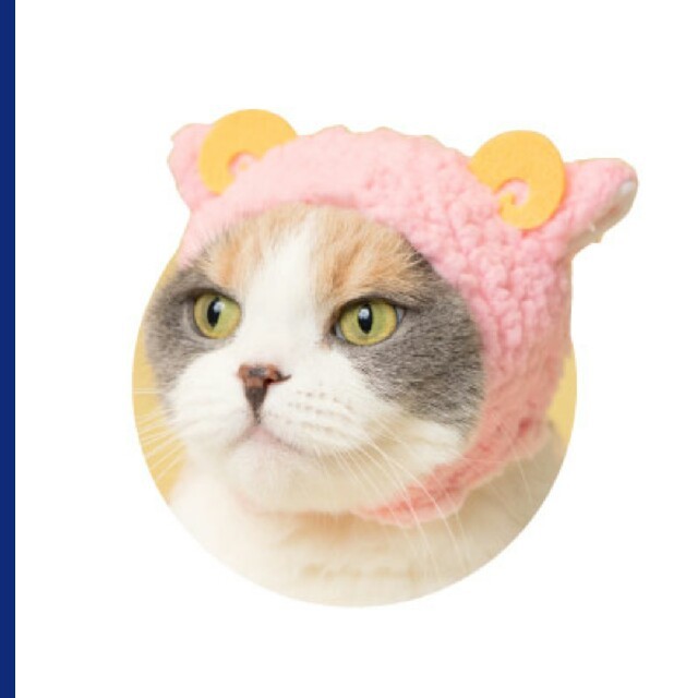 ガチャガチャ 大人気♪ねこのかぶりもの その他のペット用品(猫)の商品写真