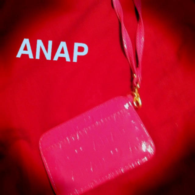 ANAP(アナップ)のANAPパスケース♡ レディースのファッション小物(名刺入れ/定期入れ)の商品写真