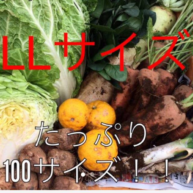 野菜 野菜詰め合わせ LLサイズ 食品/飲料/酒の食品(野菜)の商品写真