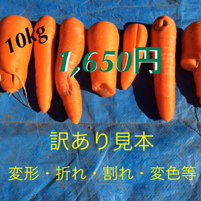 11/22発送分 訳ありにんじん10kg 食品/飲料/酒の食品(野菜)の商品写真