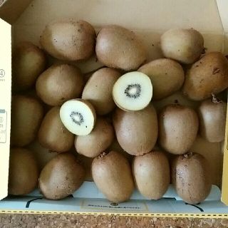 自家栽培　キウイフルーツ　黄色(フルーツ)