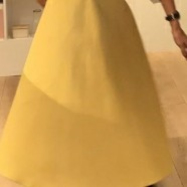 FRAY I.D(フレイアイディー)の春 秋 冬 スカート  新品 レディースのスカート(ロングスカート)の商品写真