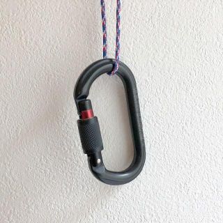 ペツル(PETZL)のM33SL オーケー スクリューロック / 未使用品(登山用品)