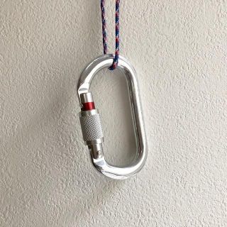 ペツル(PETZL)のM33SL オーケー スクリューロック / 未使用品(登山用品)