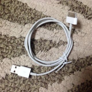 iPhone4S正規充電器(その他)