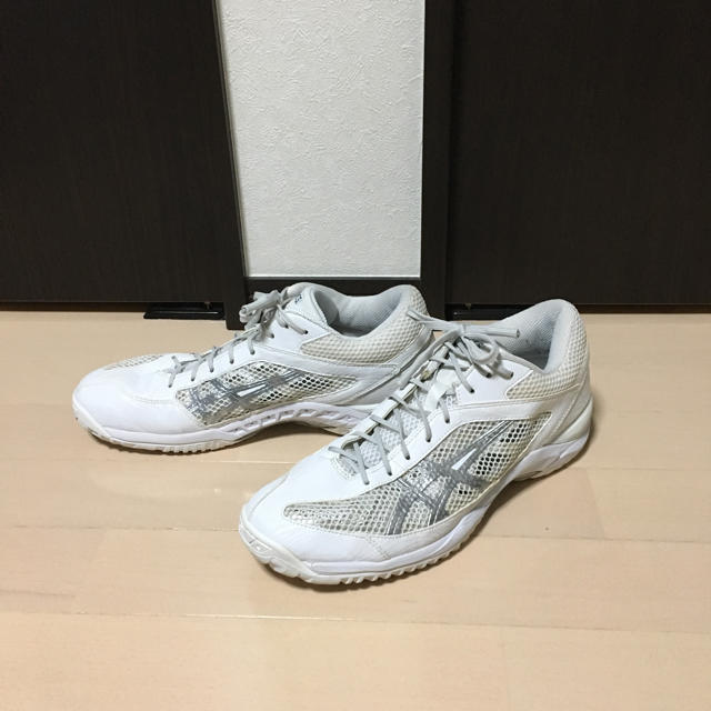 asics(アシックス)のアシックス ゲルフープゼロ  28cm スポーツ/アウトドアのスポーツ/アウトドア その他(バスケットボール)の商品写真