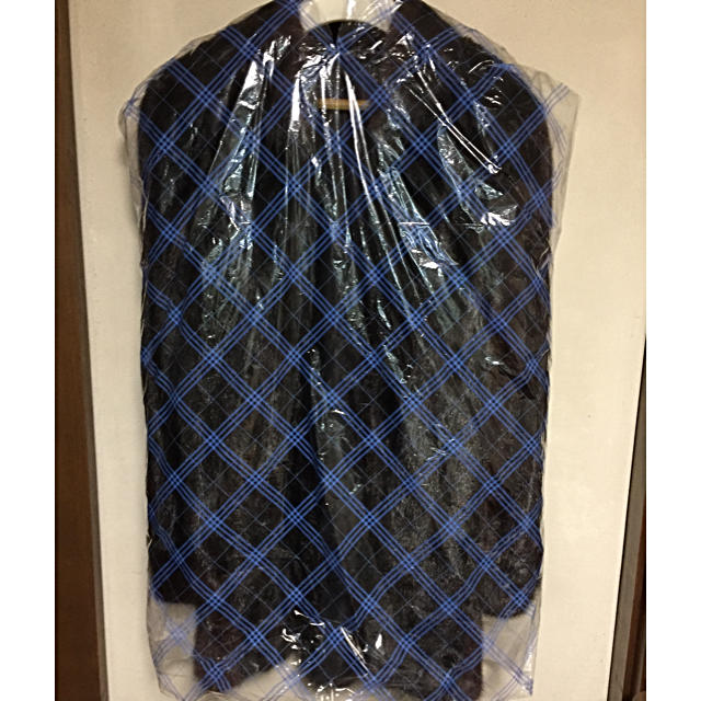 SAGAミンクコート レディースのジャケット/アウター(毛皮/ファーコート)の商品写真