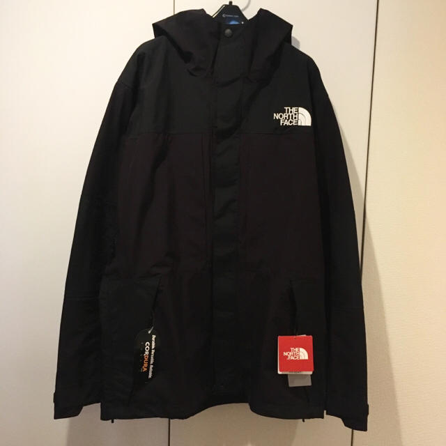 NORTH FACE BEAMS  Expedition Light Parka