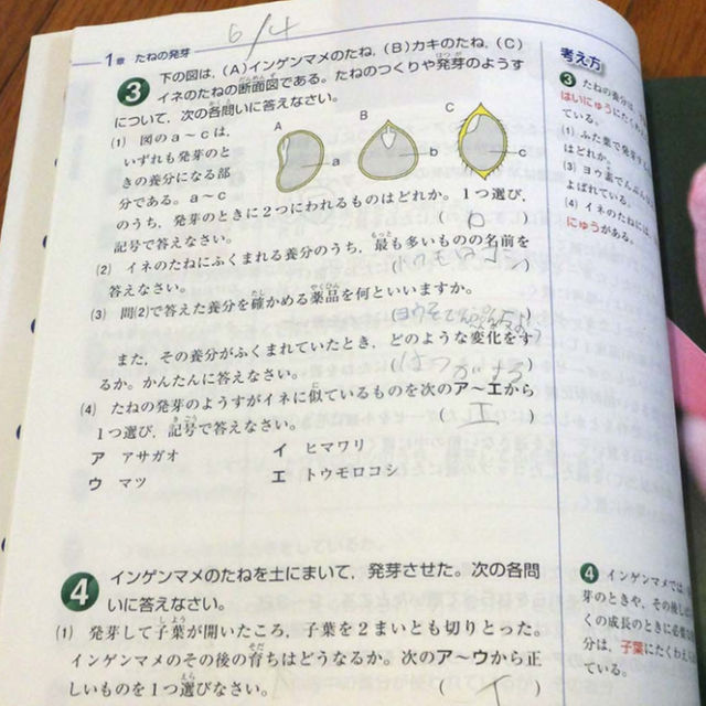 くわしい理科小学5年 少し書き込みありの通販 By うりちゃん S Shop ラクマ くわしい理科小学5年 少し書き込みありの通販 By うりちゃん S Shop ラクマ