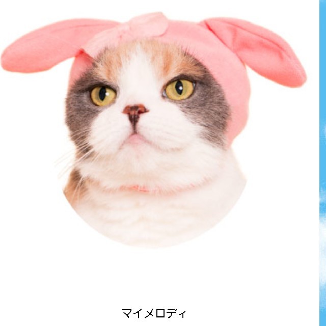 サンリオ(サンリオ)のねこのかぶりもの　マイメロディ その他のペット用品(猫)の商品写真