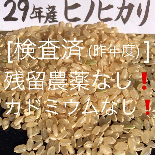 gamagama様専用 29年産玄米9kgヒノヒカリ 食品/飲料/酒の食品(米/穀物)の商品写真