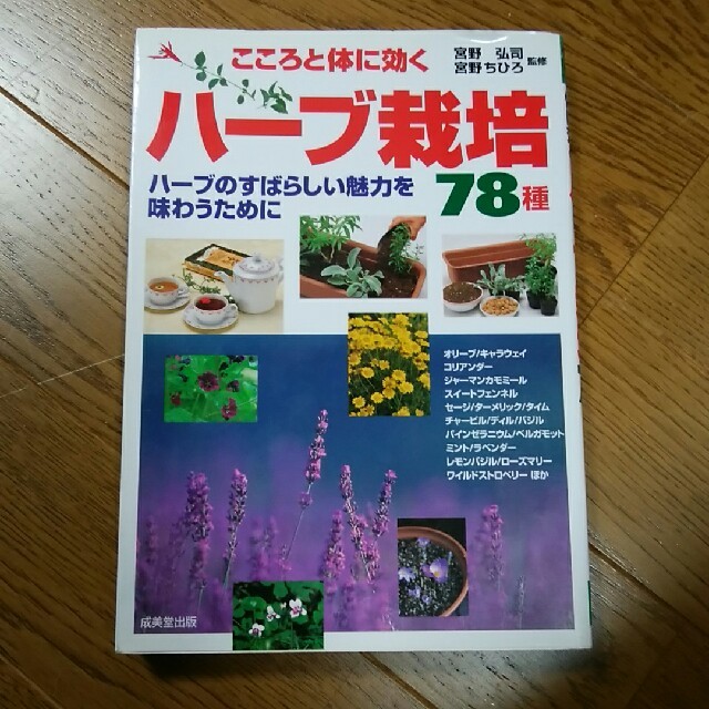 こころと体に効く　ハーブ栽培78種 エンタメ/ホビーの本(住まい/暮らし/子育て)の商品写真