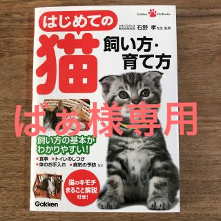 ガッケン(学研)のはじめての猫の飼い方・育て方(小動物)