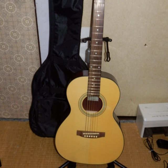 TAKAMINE　パーラータイプ アコースティックギター　T-P1 AN 美品 楽器のギター(その他)の商品写真