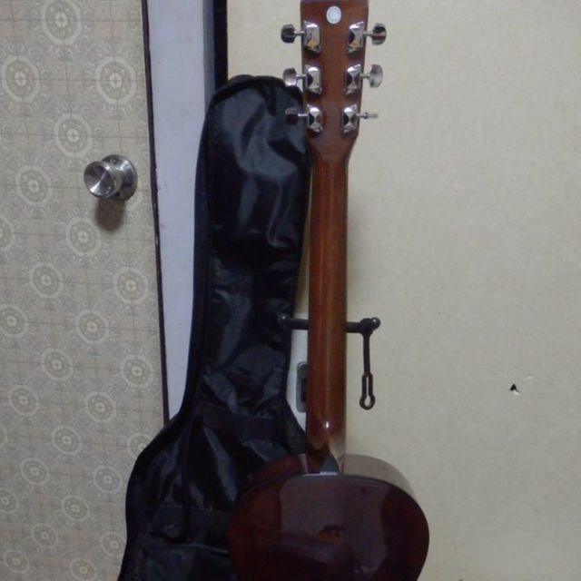 TAKAMINE　パーラータイプ アコースティックギター　T-P1 AN 美品 楽器のギター(その他)の商品写真