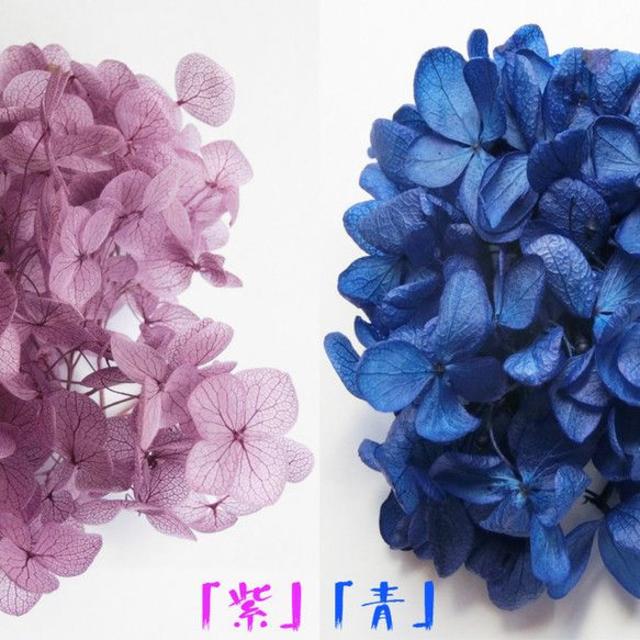 アクリルアート 　「咲/あじさい」 プリザーブドフラワーの紫陽花　3D金魚 エンタメ/ホビーの美術品/アンティーク(絵画/タペストリー)の商品写真