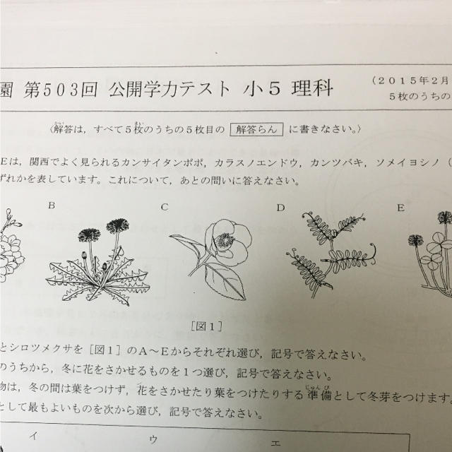 浜学園小5公開学力テスト2015年 算国理 10回分セット 訳あり格安 エンタメ/ホビーの本(語学/参考書)の商品写真