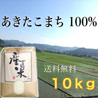 【あや様専用】愛媛県産あきたこまち100％   １０ｋｇ   農家直送(米/穀物)