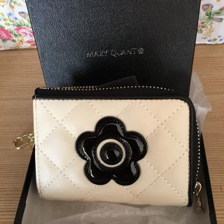 マリークワント(MARY QUANT)の新品マリークワントパスケース(ショルダーバッグ)