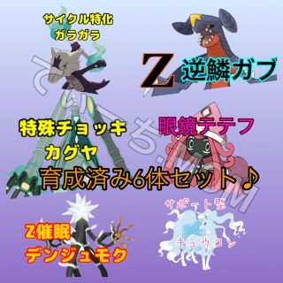 ポケモン ポケモン ウルトラサンムーン 育成済み6体セット 理想個体 Sm レートの通販 ラクマ