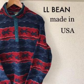 エルエルビーン(L.L.Bean)の古着屋購入 LL BEA USA製 90's フリース スナップＴ 1124(その他)