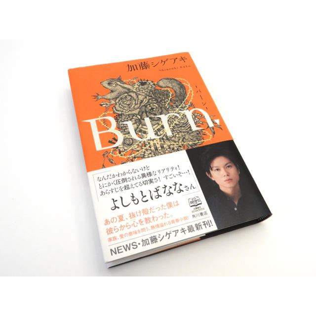 角川書店(カドカワショテン)のまいべあ 様 専用 エンタメ/ホビーの本(文学/小説)の商品写真